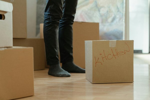 Leborgne 39000 : le fendeur de bûches idéal pour vos besoins