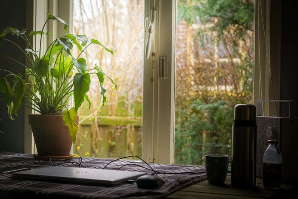 Comment transformer une véranda en serre de jardin productive ?